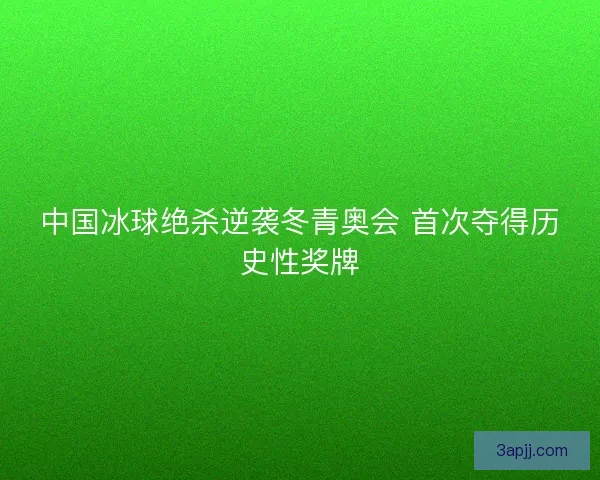 中国冰球绝杀逆袭冬青奥会 首次夺得历史性奖牌